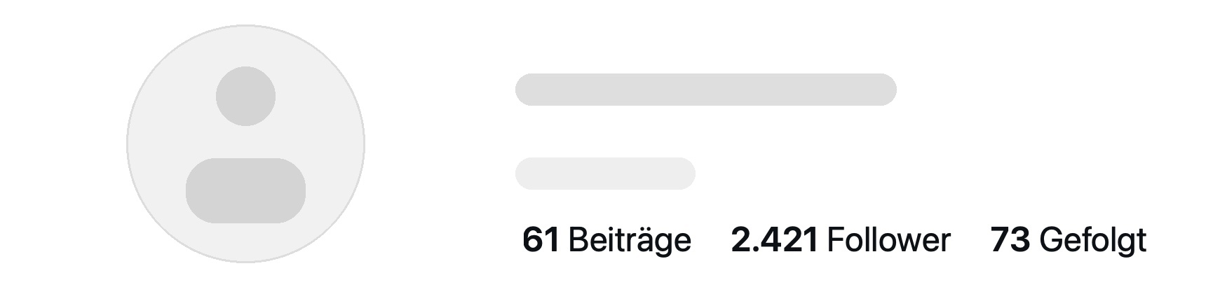 Anonymisierter Instagram-Account 2 mit Beitrags- und Followerzahlen