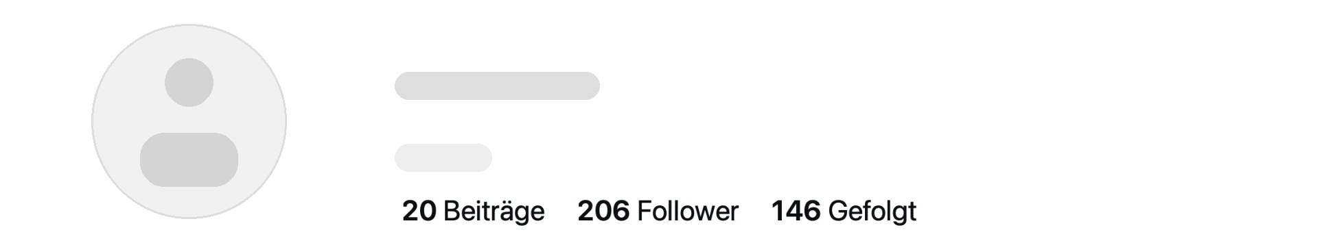 Anonymisierter Instagram-Account 5 mit Beitrags- und Followerzahlen