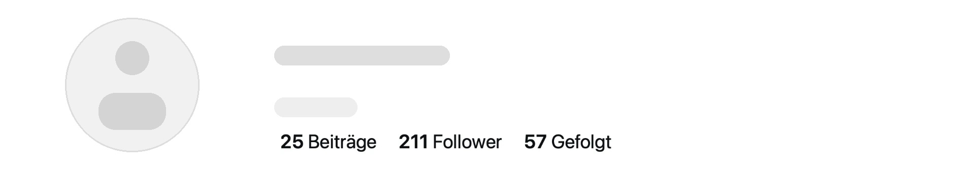 Anonymisierter Instagram-Account 3 mit Beitrags- und Followerzahlen